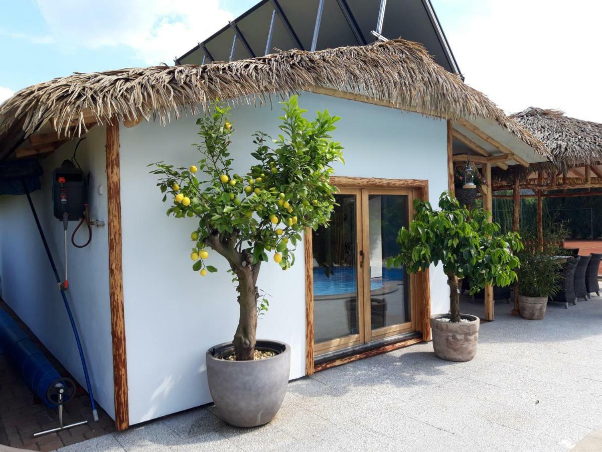 Penzion Pod Hradem Potštejn Exteriér fotografie